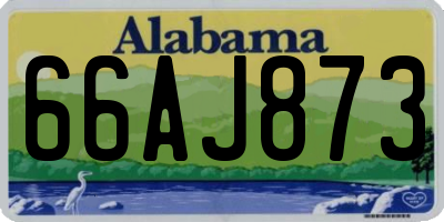 AL license plate 66AJ873