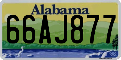 AL license plate 66AJ877