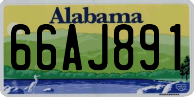 AL license plate 66AJ891