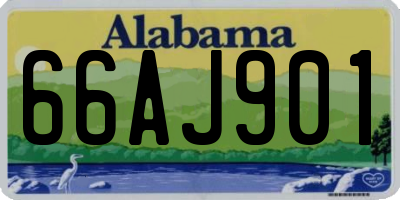 AL license plate 66AJ901