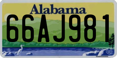 AL license plate 66AJ981