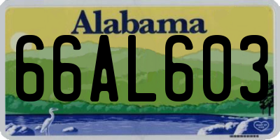 AL license plate 66AL603