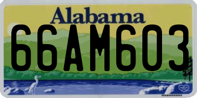 AL license plate 66AM603