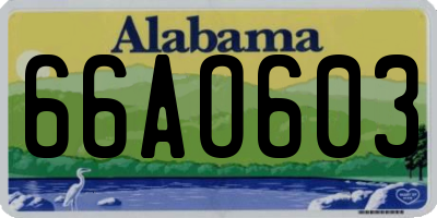 AL license plate 66AO603