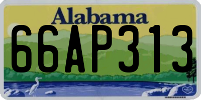 AL license plate 66AP313