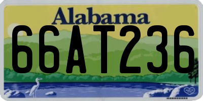 AL license plate 66AT236