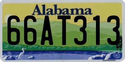 AL license plate 66AT313