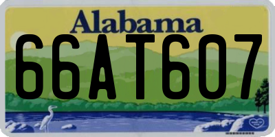 AL license plate 66AT607