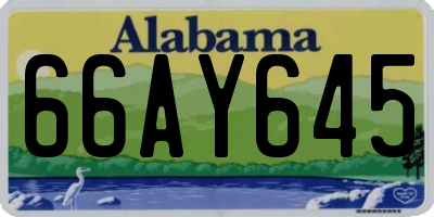 AL license plate 66AY645