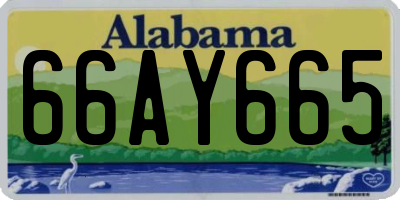 AL license plate 66AY665