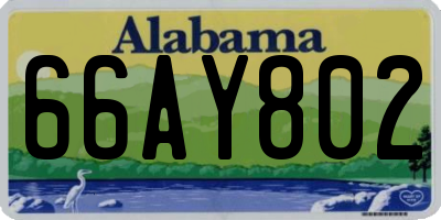 AL license plate 66AY802