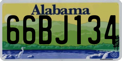 AL license plate 66BJ134