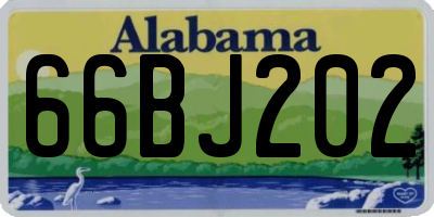 AL license plate 66BJ202