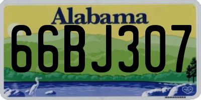 AL license plate 66BJ307
