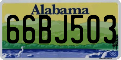 AL license plate 66BJ503