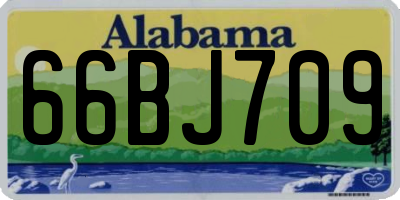 AL license plate 66BJ709