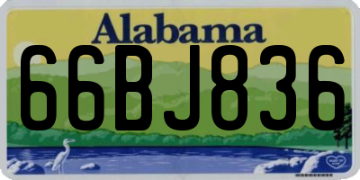 AL license plate 66BJ836