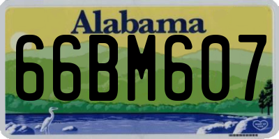 AL license plate 66BM607