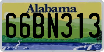 AL license plate 66BN313