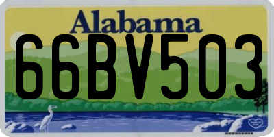 AL license plate 66BV503