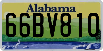 AL license plate 66BV810
