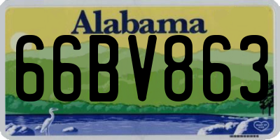 AL license plate 66BV863