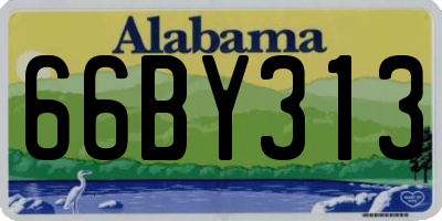 AL license plate 66BY313