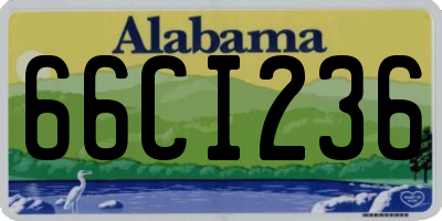 AL license plate 66CI236