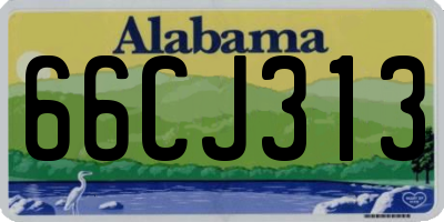AL license plate 66CJ313