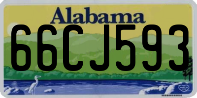 AL license plate 66CJ593