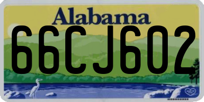 AL license plate 66CJ602