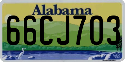 AL license plate 66CJ703