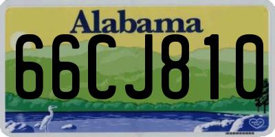 AL license plate 66CJ810