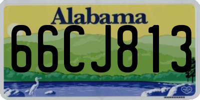 AL license plate 66CJ813