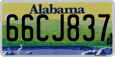 AL license plate 66CJ837