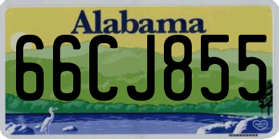 AL license plate 66CJ855