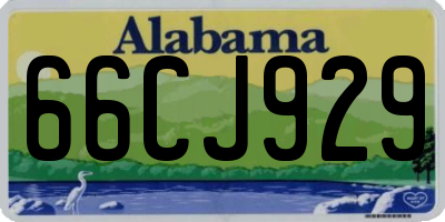 AL license plate 66CJ929