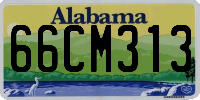 AL license plate 66CM313