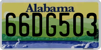 AL license plate 66DG503