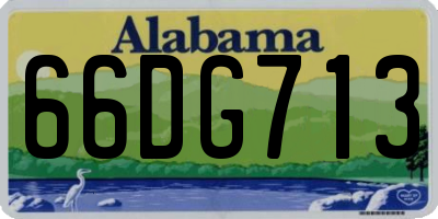 AL license plate 66DG713