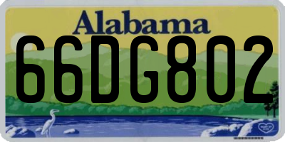 AL license plate 66DG802