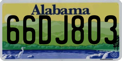 AL license plate 66DJ803