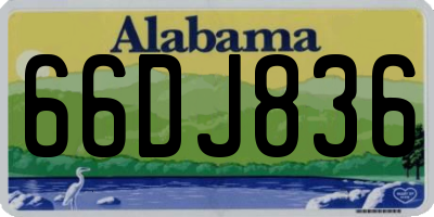 AL license plate 66DJ836