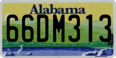 AL license plate 66DM313