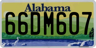 AL license plate 66DM607