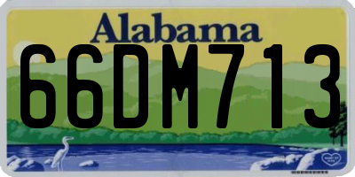 AL license plate 66DM713