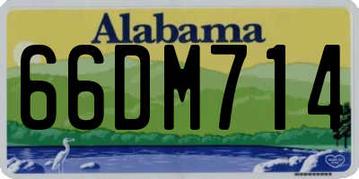 AL license plate 66DM714