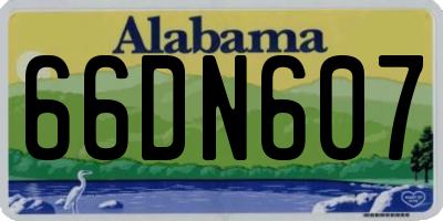 AL license plate 66DN607