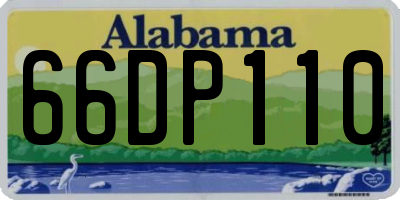 AL license plate 66DP110