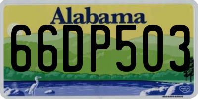 AL license plate 66DP503